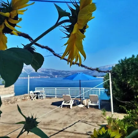 Pensjonat And By The Sea Lumbarda, Korcula - 14647