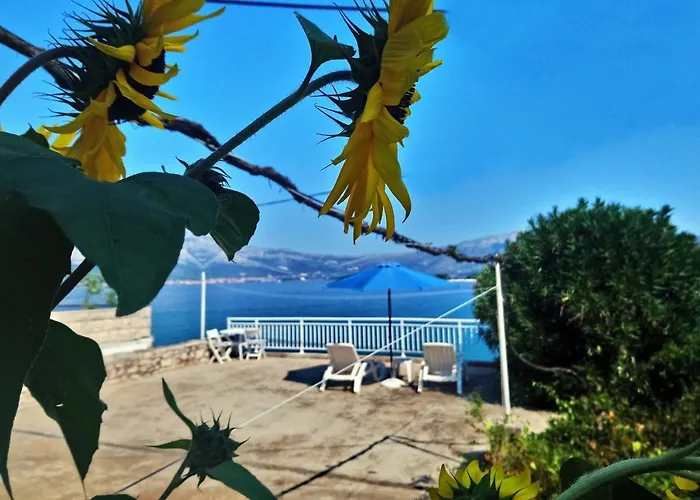 Guest house And By The Sea Lumbarda, Korcula - 14647