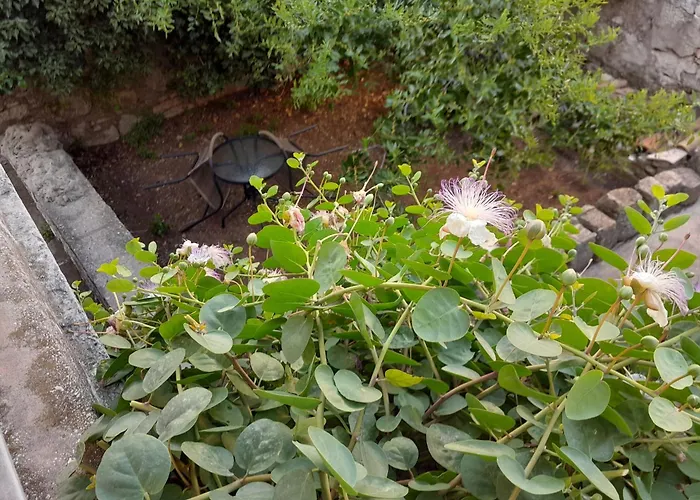 Guest house And By The Sea Lumbarda, Korcula - 14647 Lumbarda